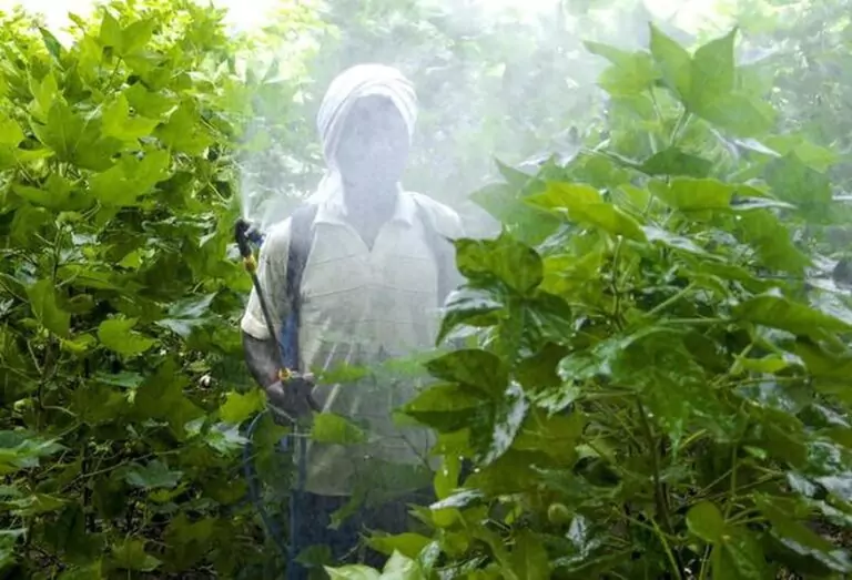 Agri Blog Pesticides