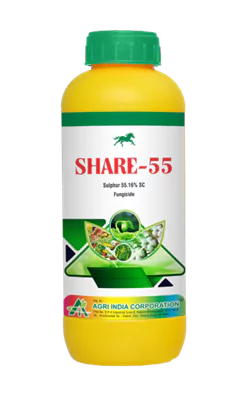 Share 55