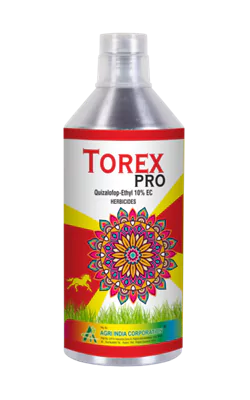 Torex Pro