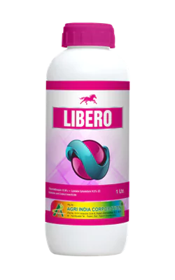 Libero